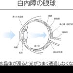 La gravedad: el motor de estrellas y galaxias que no puedes ignorar